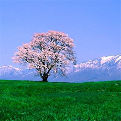 除了匈牙利，欧盟26个成员国发声支持乌克兰入盟
